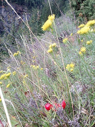 Villard Notre Dame - Wandelen vanuit Bourg-d'Oisans