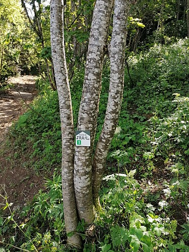 Les Balcons de l'Oisans