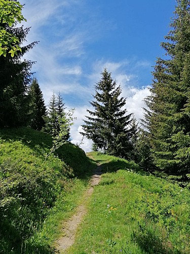 Les Balcons de l'Oisans