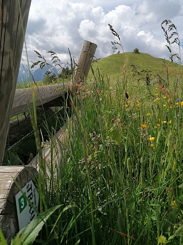 La Crête du Bras- n°3 - Vert