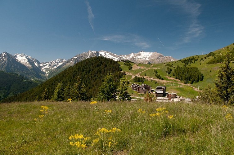 Vertical cross country running route