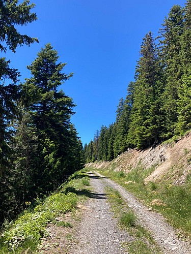 Les Sûres - Hiking from Auris-en-Oisans_Auris-en-Oisans