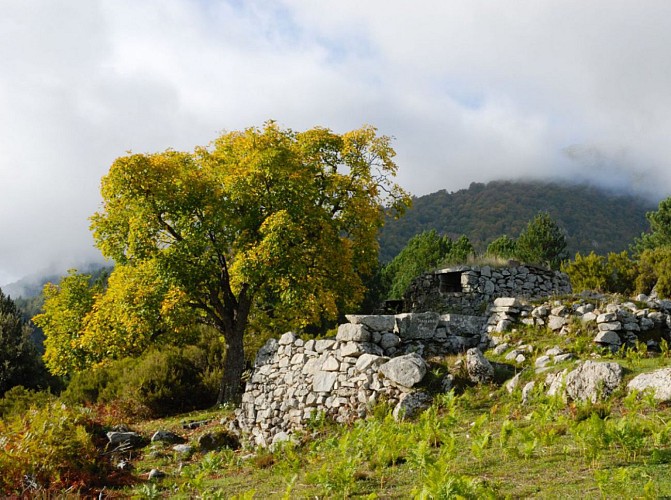 Corse- Région Cortenais/Venachese- Bergeries Coda a u Pratu [octobre 2012 pour cette trace]