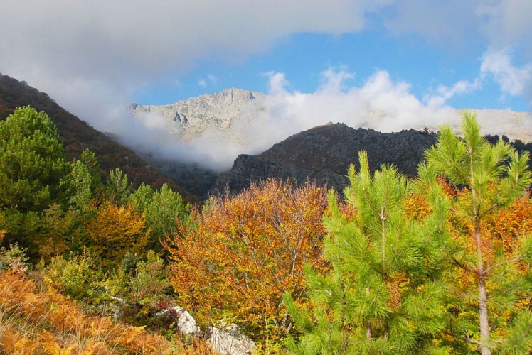 Corse- Région Cortenais/Venachese- Bergeries Coda a u Pratu [octobre 2012 pour cette trace]