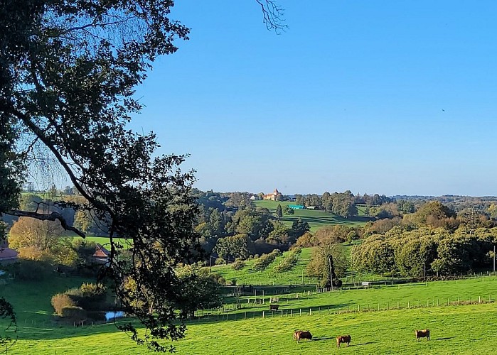 Campagne 1 - copie