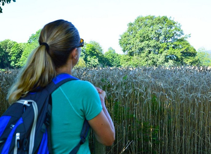 retouches photos Tourinsoft - 3