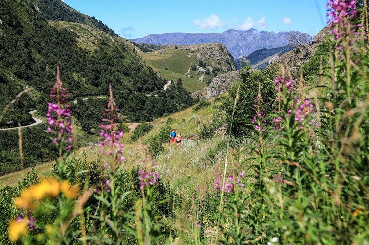 Chemin de randonnée au printemps