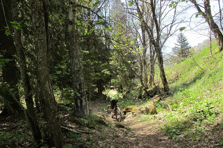 De kloven van de Sarenne - Wandeltocht vanuit het skioord Auris en Oisans