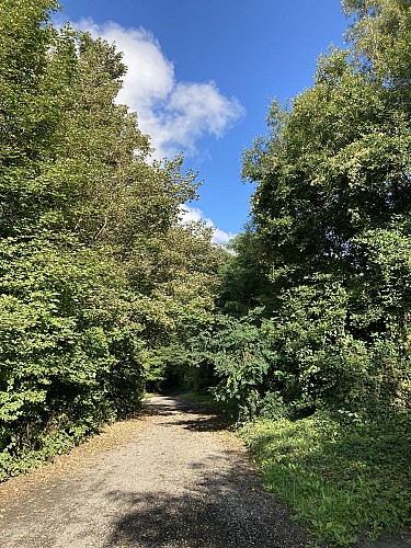 chemin vers le torrent St Antoine