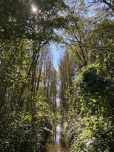 petit canal en direction de Pont Rouge