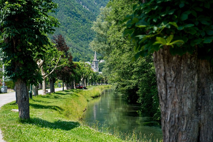 Le tour du Plan - Wandeling