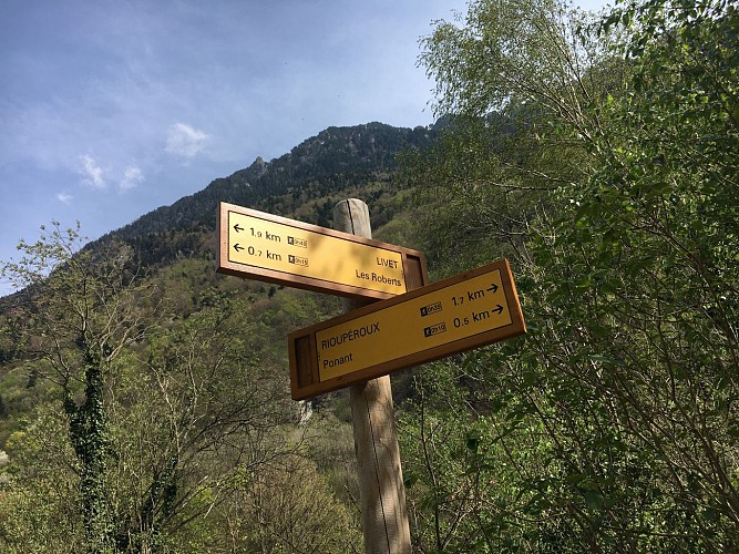 Himalayan footbridge in the Romanche gorges