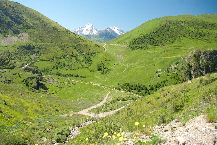 Puy-le-Haut > Les Cours, Auris