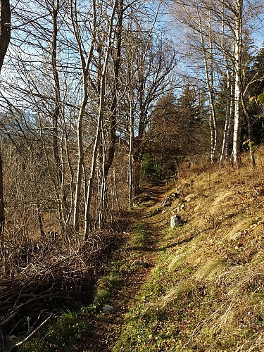 Le plan du Cerf