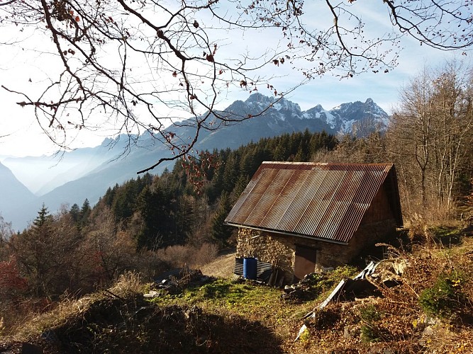 En montant au plan du Cerf à l'automne