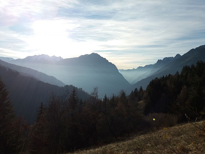 En montant au plan du Cerf à l'automne