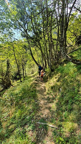 Grand Beau Rocher (from col du Sabot road) - Hiking