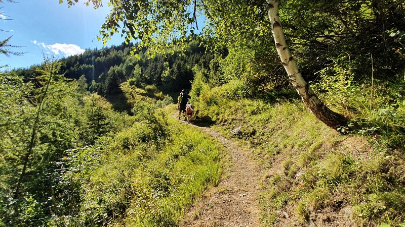 Sentier au départ de Grand Beau Rocher