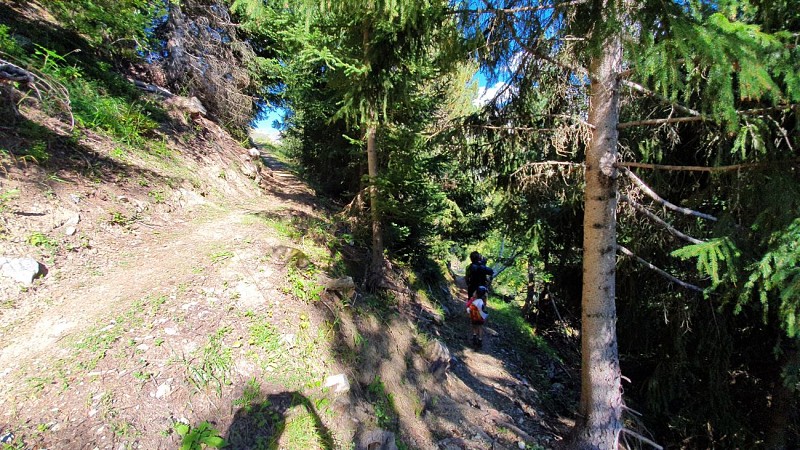 Sentier de Grand Beau Rocher