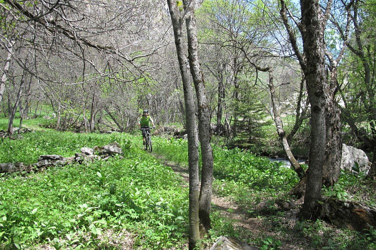 Chemin des pêcheurs _ walk