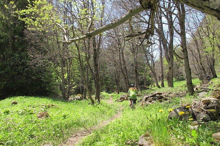 Chemin des pêcheurs _ walk