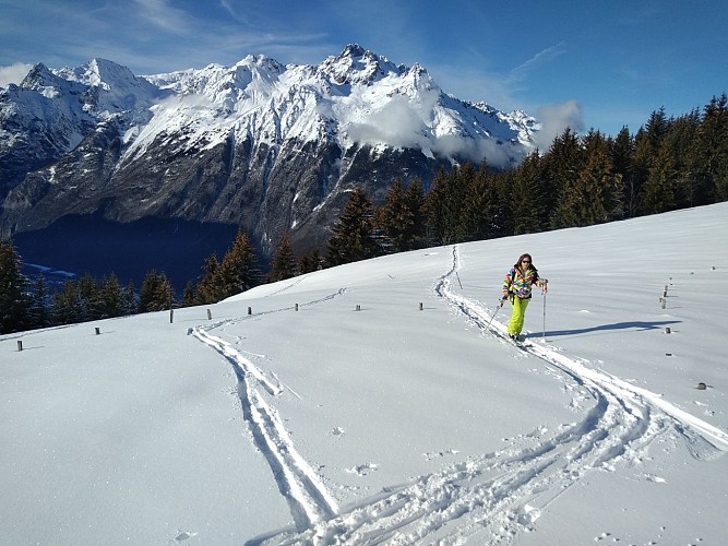 Ski de rando