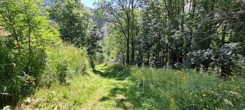Les Vernays - balade depuis Besse-en-Oisans_Besse-en-Oisans