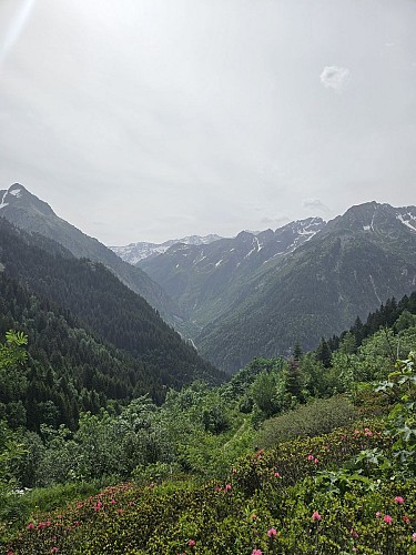 Vue sur la vallée de l'Eau d'Olle