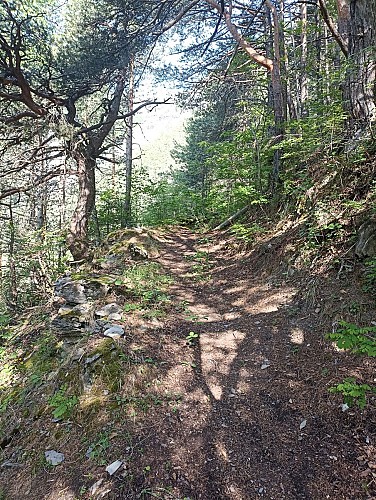 Chemin historique d'Oulles - Hike from La Paute (Bourg-d'Oisans)