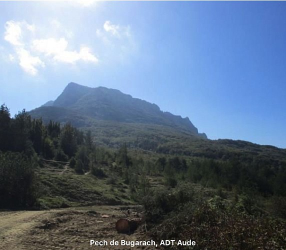 Le pech de Bugarach