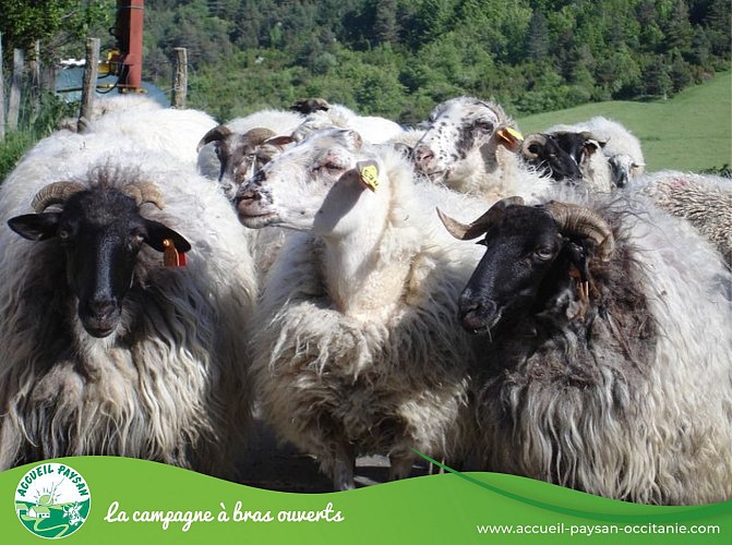 Vers le château du Bezu, depuis la ferme de la Borde Jean-Marie