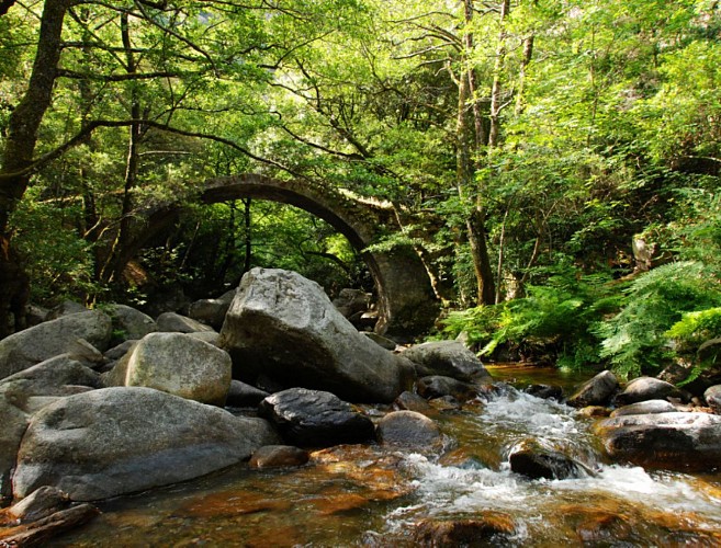 Corse- Région Evisa/Porto- Rivière Spelunca [juillet 2012]