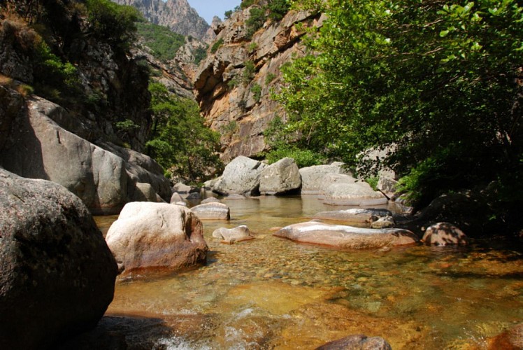 Corse- Région Evisa/Porto- Rivière Spelunca [juillet 2012]