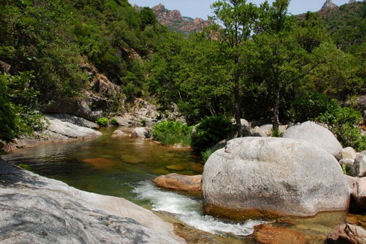 Corse- Région Evisa/Porto- Rivière Spelunca [juillet 2012]