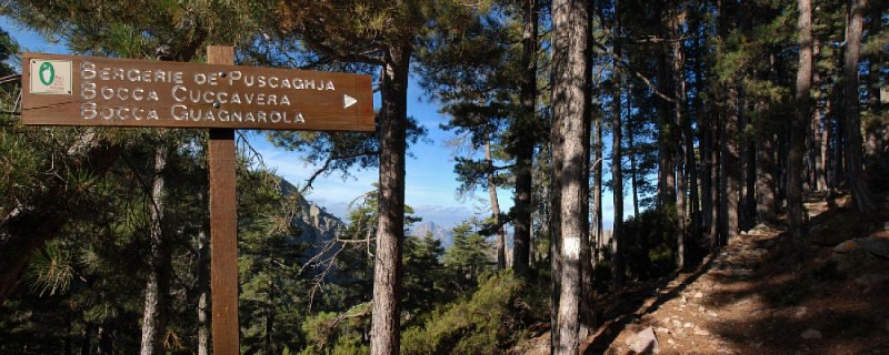 Corse- Région Evisa/Porto- Col Salto-Capu Scalella-Bocca Cuccavera [avril 2014]