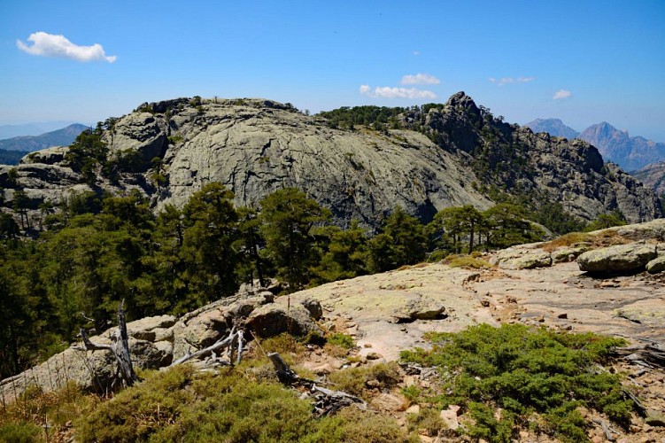 Corse- Région Evisa/Porto- Col Salto-Capu Scalella-Bocca Cuccavera [avril 2014]