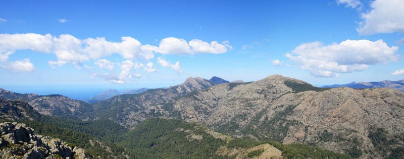 Corse- Région Evisa/Porto- Col Salto-Capu Scalella-Bocca Cuccavera [avril 2014]