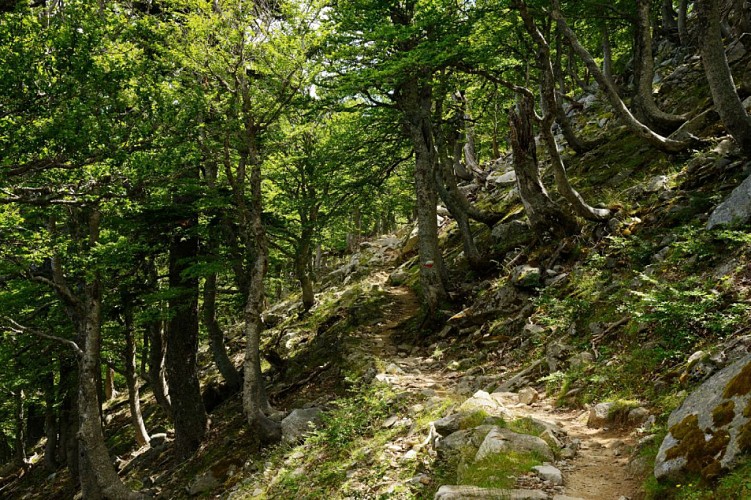 Corse- Région Fiumorbo- Monte Calvi- Bergeries de Cardo et d'Alzeta
