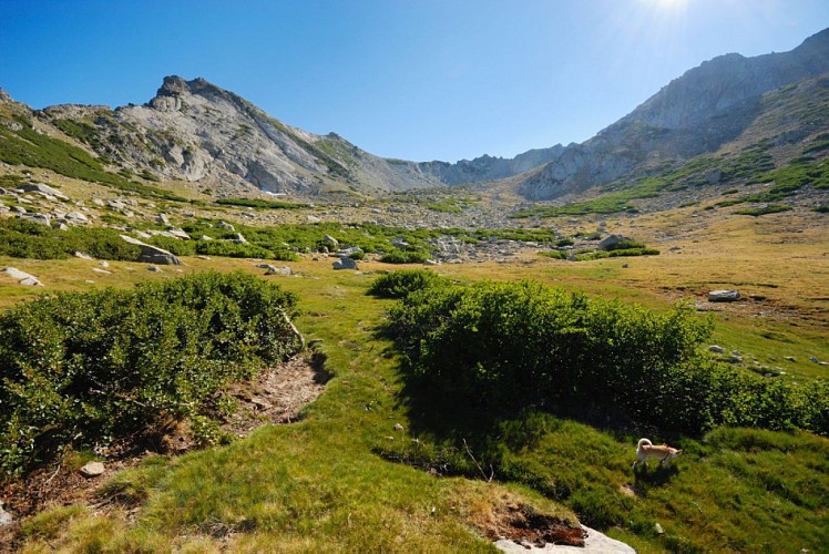 Corse- Région Fiumorbo/Massif Renoso- Valle Longa Valle Secca [juillet 2012]