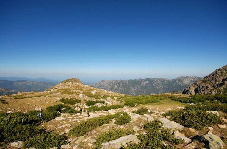 Corse- Région Fiumorbo/Massif Renoso- Valle Longa Valle Secca [juillet 2012]