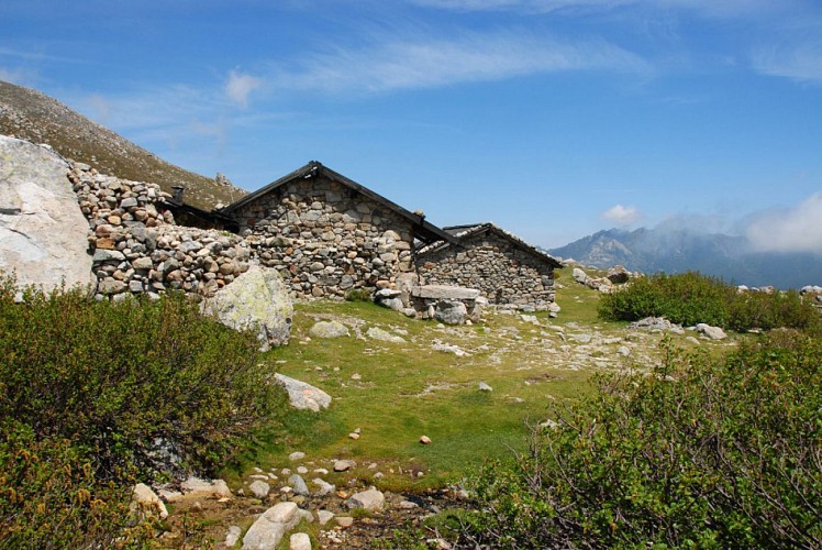 Corse- Région Fiumorbo/Massif Renoso- Verde- Pozzi [juin2013]