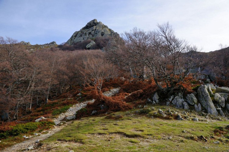 Corse- Région Fiumorbo- Verde- Massif Bocca Dell'Oro- Refuge de Prati [novembre 2015]