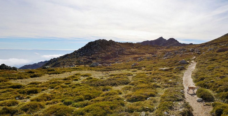 Corse- Région Fiumorbo- Verde- Massif Bocca Dell'Oro- Refuge de Prati [novembre 2015]