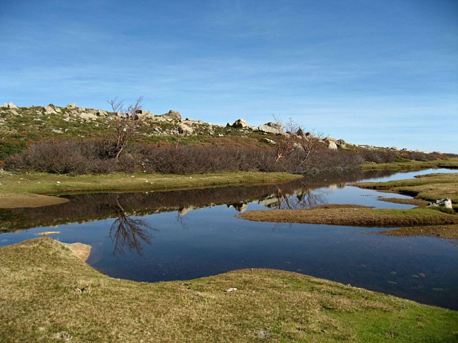 Corse- Région Fiumorbo/Massif Renoso- Lacs de Rina et Pozzi [octobre 2006]