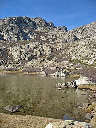 Corse- Région Fiumorbo/Massif Renoso- Lacs de Rina et Pozzi [octobre 2006]
