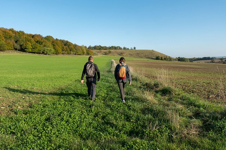 le_coteau_mesnil_soleil