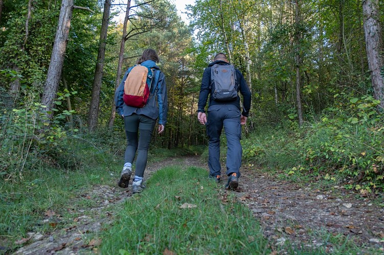 le_coteau_mesnil_soleil