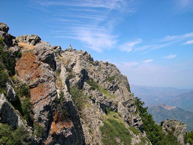 Corse- Région Castagniccia- Monte San Petrone