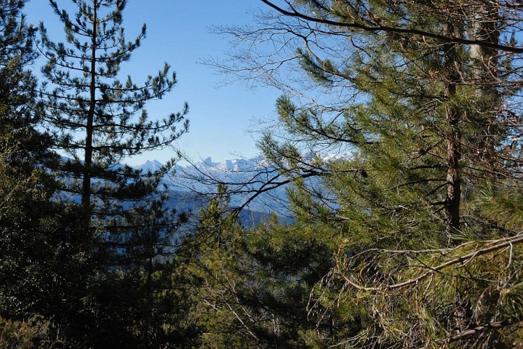 Corse- Région Castagniccia- Col de Prato- Basilique- Morosaglia