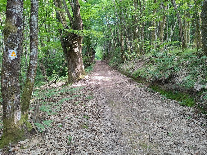 Saint-Moreil - Circuits VTT 5 et 6 - Pays Monts et Barrages - Aurélien Clavreul (4)